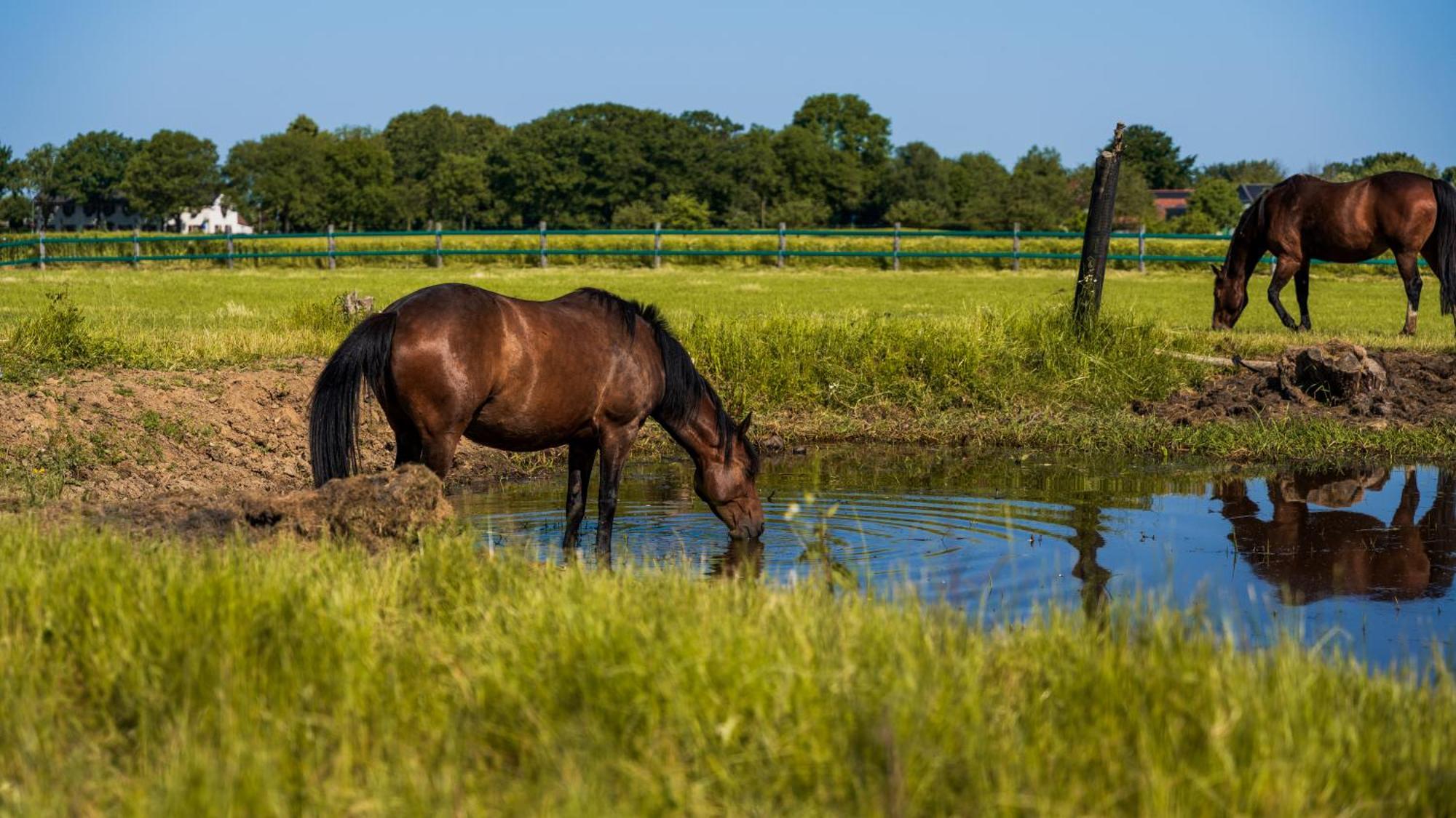 Auberge De Smockelaer Heijenrath ภายนอก รูปภาพ