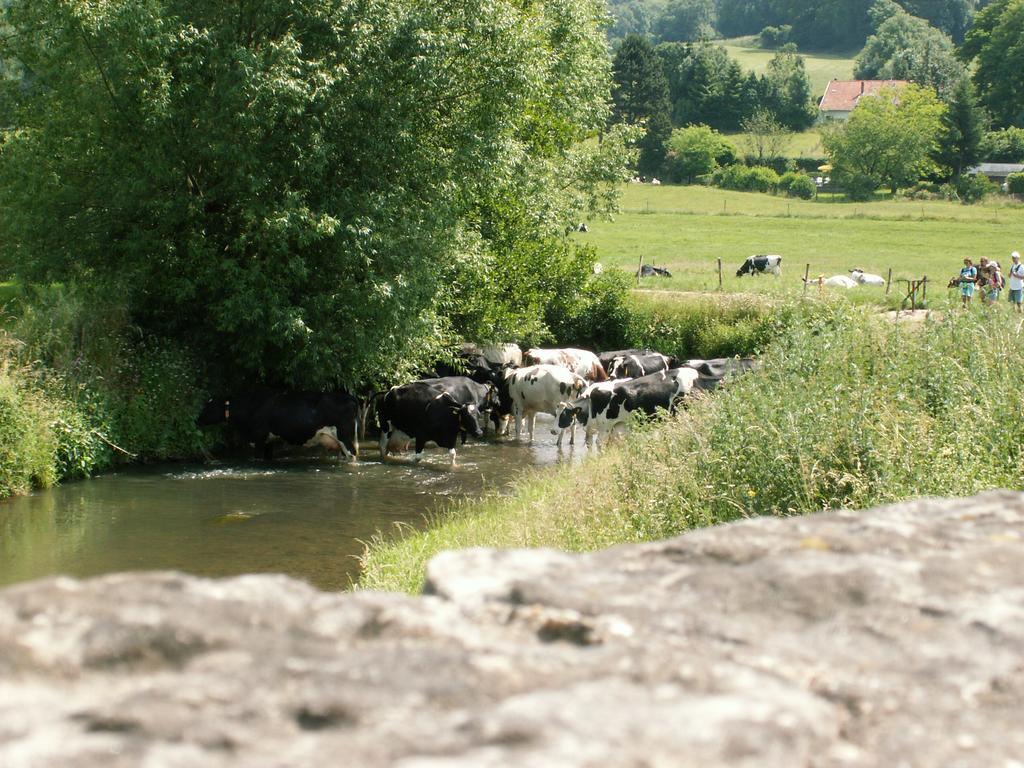 Auberge De Smockelaer Heijenrath ห้อง รูปภาพ